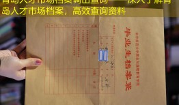 青岛人才市场档案调出查询——深入了解青岛人才市场档案，高效查询资料