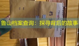 鲁山档案查询：探寻背后的故事