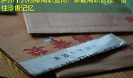 泸州个人档案离职查询：掌握离职信息，留住珍贵记忆