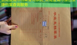 云南宣威市档案查询系统_云南宣威市推出便捷档案查询服务