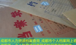 成都市人力资源档案查询_成都市个人档案网上查询服务：个人档案退回原籍后如何查询的指南