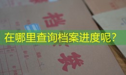 在哪里查询档案进度呢？