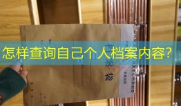 怎样查询自己个人档案内容？