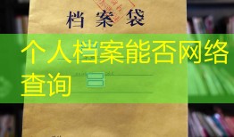 个人档案能否网络查询