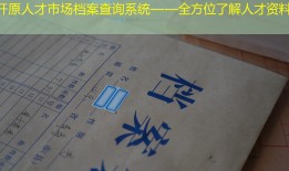 开原人才市场档案查询系统——全方位了解人才资料