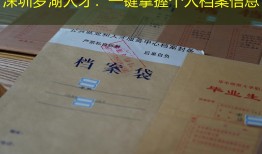 深圳罗湖人才：一键掌握个人档案信息