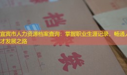 宜宾市人力资源档案查询：掌握职业生涯记录，畅通人才发展之路