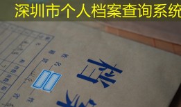 深圳市个人档案查询系统