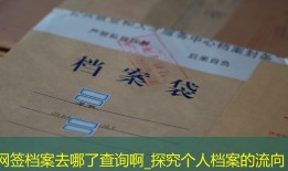 网签档案去哪了查询啊_探究个人档案的流向