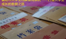 襄阳市大学生档案查询系统——打通大学生成长的数据之路