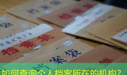 如何查询个人档案所在的机构？