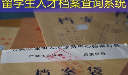 留学生人才档案查询系统