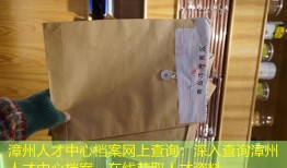 漳州人才中心档案网上查询：深入查询漳州人才中心档案，在线获取人才资料