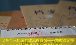 随州个人档案存放流程查询——掌握查询技巧，轻松获取随州个人档案存储信息