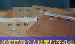 如何查询个人档案所在机构