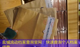 盐城流动档案查询官网：快速查询个人档案信息
