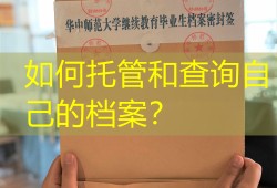 如何托管和查询自己的档案？