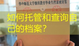 如何托管和查询自己的档案？