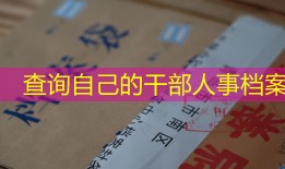 查询自己的干部人事档案