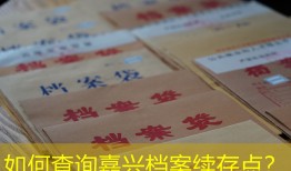 如何查询嘉兴档案续存点？