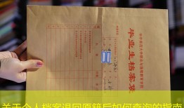 关于个人档案退回原籍后如何查询的指南