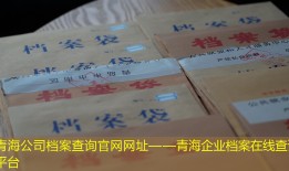 青海公司档案查询官网网址——青海企业档案在线查询平台