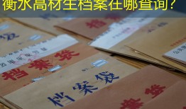 衡水高材生档案在哪查询？