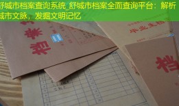 舒城市档案查询系统_舒城市档案全面查询平台：解析城市文脉，发掘文明记忆