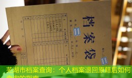 芜湖市档案查询：个人档案退回原籍后如何查询的指南