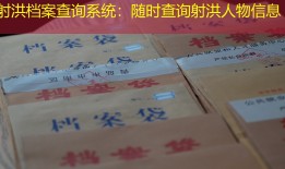 射洪档案查询系统：随时查询射洪人物信息