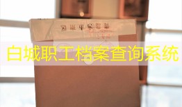 白城职工档案查询系统