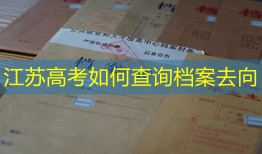 江苏高考如何查询档案去向