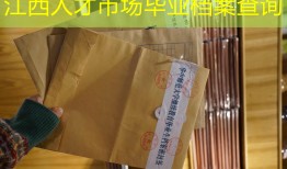 江西人才市场毕业档案查询