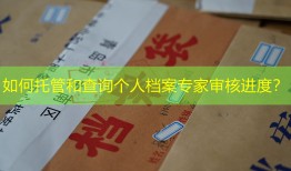 如何托管和查询个人档案专家审核进度？