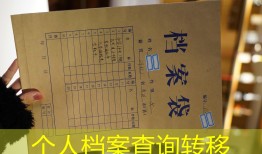 个人档案查询转移