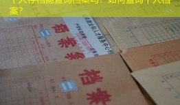 个人存档能查询档案吗？如何查询个人档案？