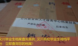 汉川毕业生档案查询系统_汉川高校毕业生调档平台：立即查询您的档案！