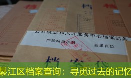 綦江区档案查询：寻觅过去的记忆