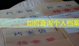 如何查询个人档案