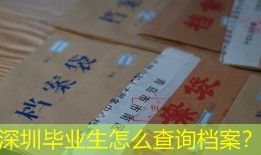 深圳毕业生怎么查询档案？