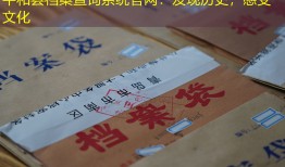平和县档案查询系统官网：发现历史，感受文化
