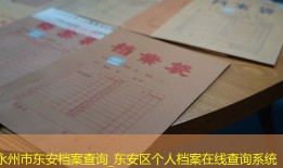永州市东安档案查询_东安区个人档案在线查询系统