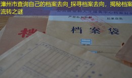 漳州市查询自己的档案去向_探寻档案去向，揭秘档案流转之谜