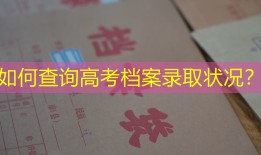 如何查询高考档案录取状况？