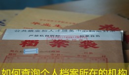 如何查询个人档案所在的机构