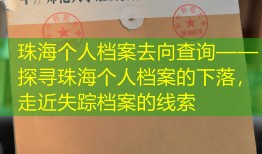 珠海个人档案去向查询——探寻珠海个人档案的下落，走近失踪档案的线索