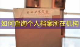 如何查询个人档案所在机构