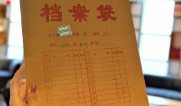 大学生如何查询档案