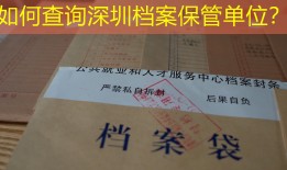 如何查询深圳档案保管单位？