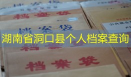 湖南省洞口县个人档案查询